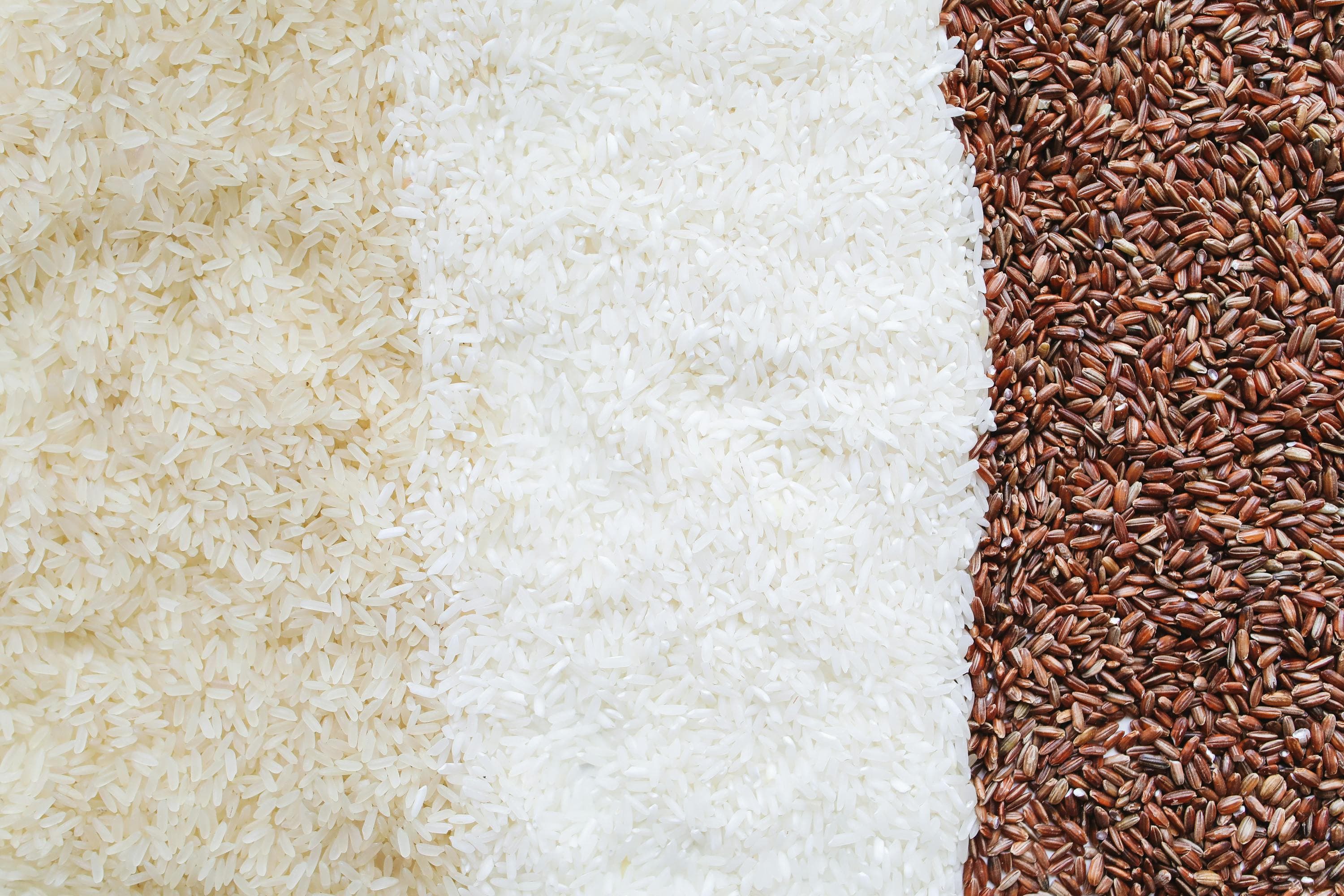 Traditional Basmati vs. Sela Rice