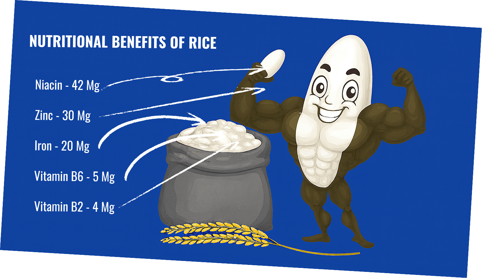 Nutriso Bottom Banner