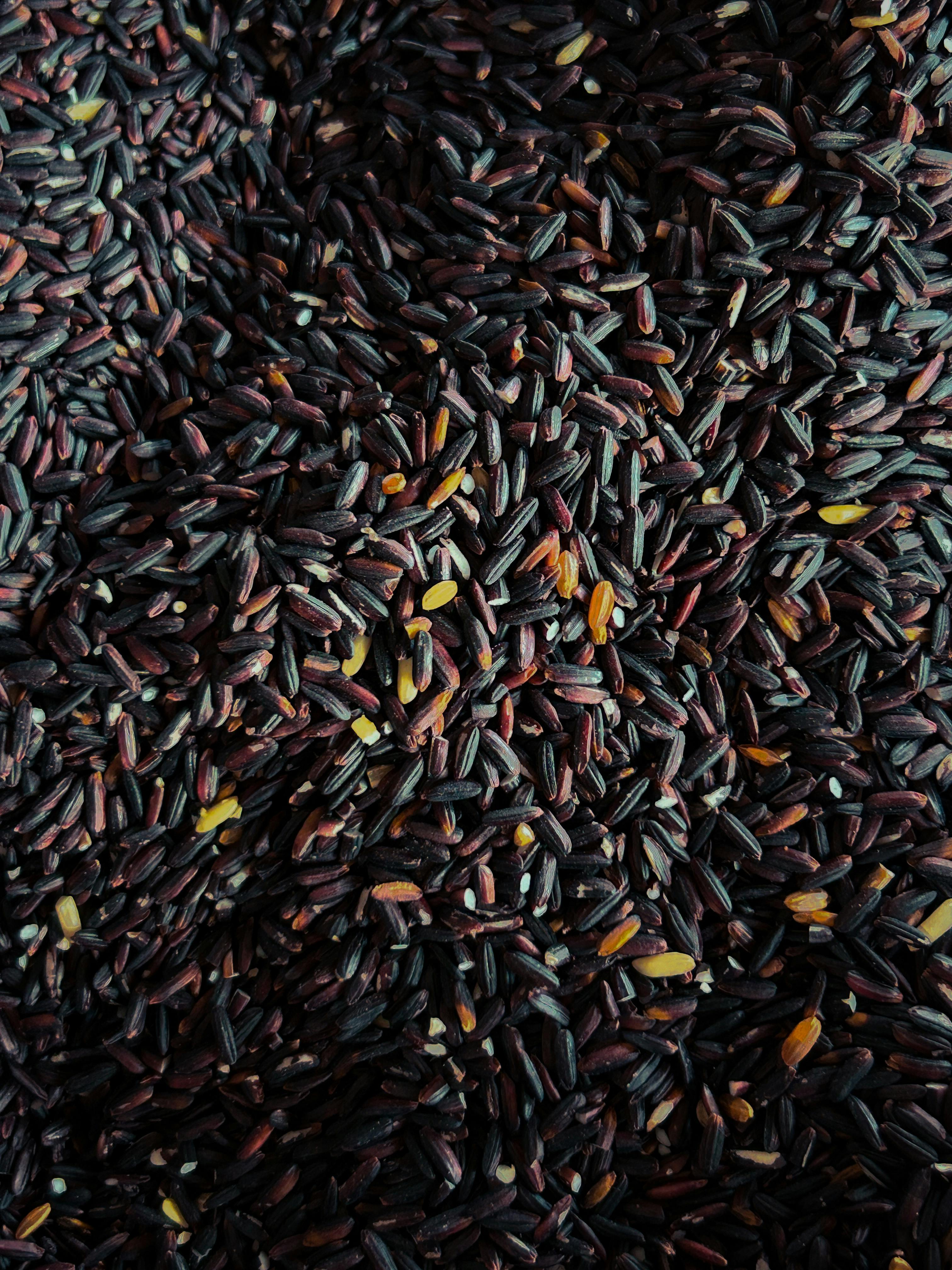 Black Wild Rice